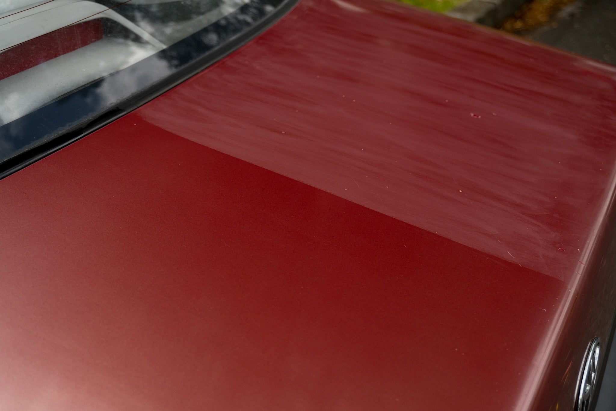 Paint Revivers