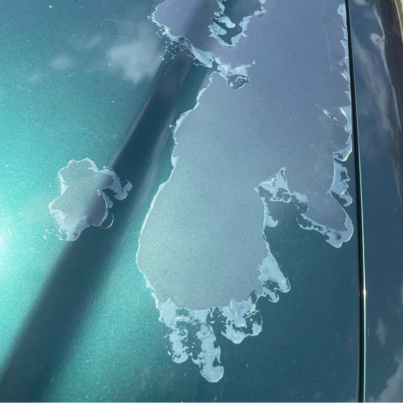 Peeling / No Clear Coat